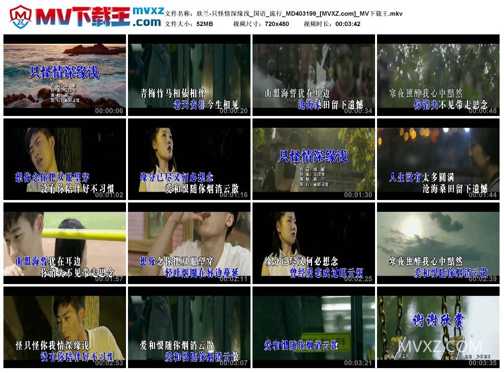 欣兰-只怪情深缘浅_国语_流行_MD403199